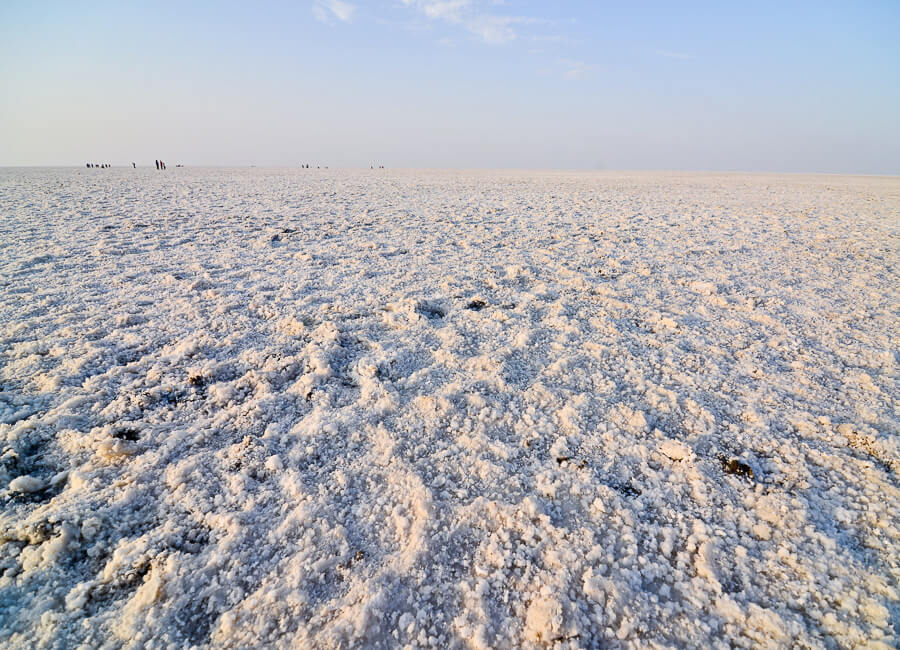 Gujarat (Rann of Kutch) India DT 44172802