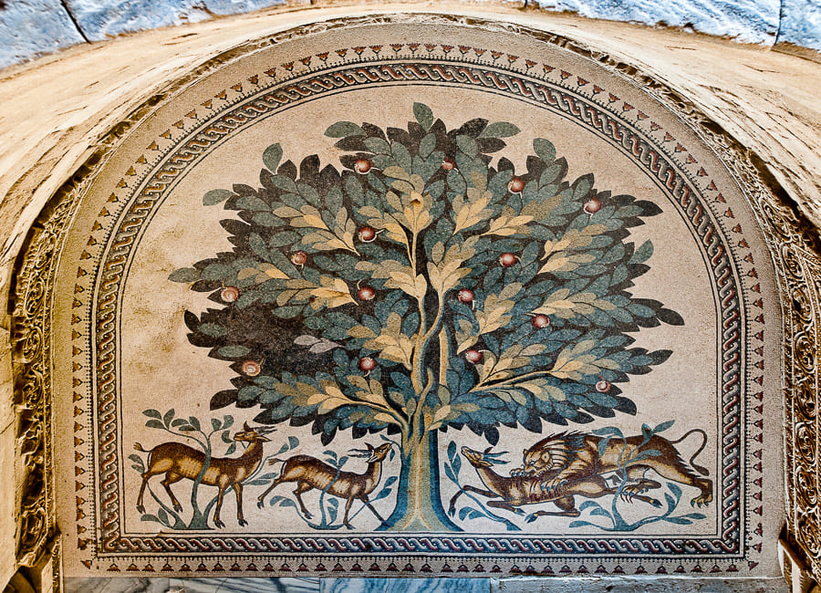 Jericho (Hishams Palace. West Bank) DT 21092854