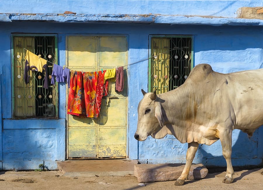 Jodhpur India DT 29898648