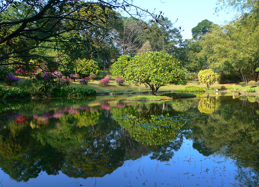 Kandy (Royal Botanical Garden) Sri Lanka DT 3856686