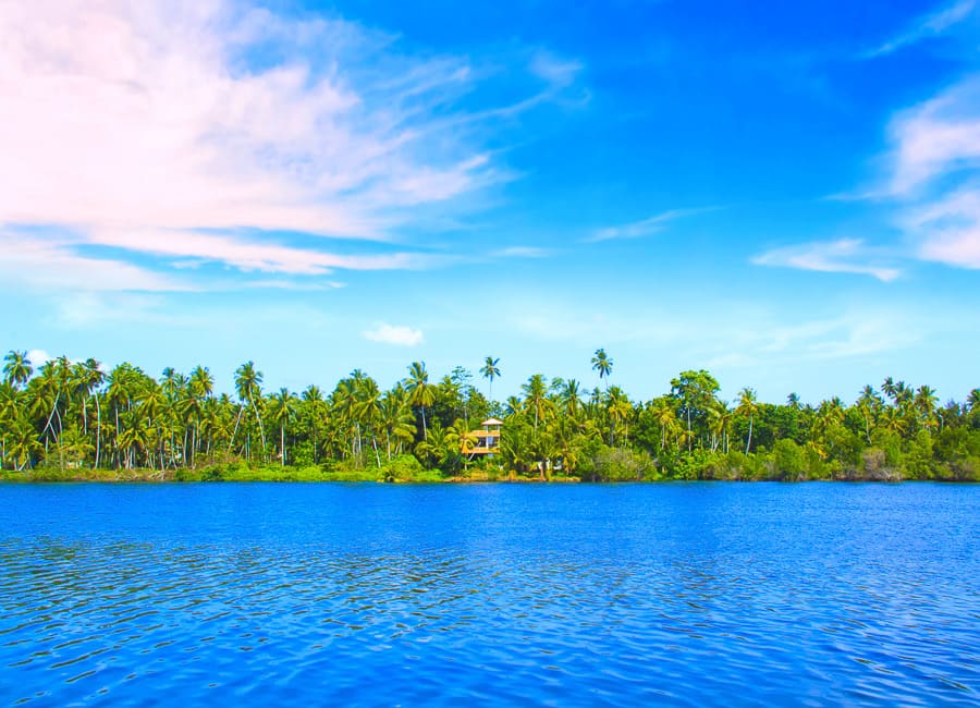 Koggala (Koggala Lake) Sri Lanka DT 90368770