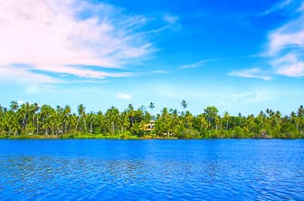 Koggala (Koggala Lake) Sri Lanka DT 90368770