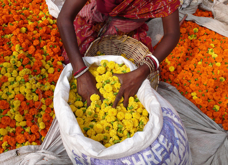 Kolkata (Flower Market) India DT 34771484