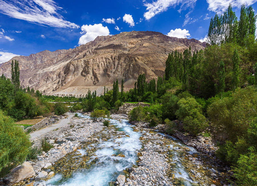 Ladakh (Diskit. Turtuk Village) India DT 78678497