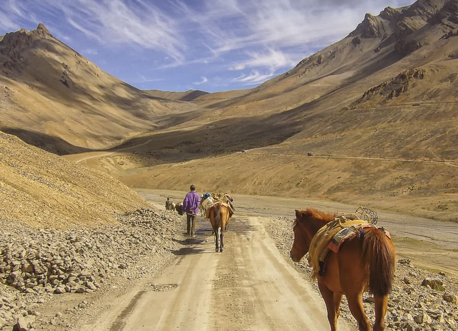 Ladakh (nomads) India DT 34339636