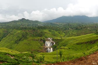 Nuwara Eliya (tea plantation. waterfall) Sri Lanka DT 26954213