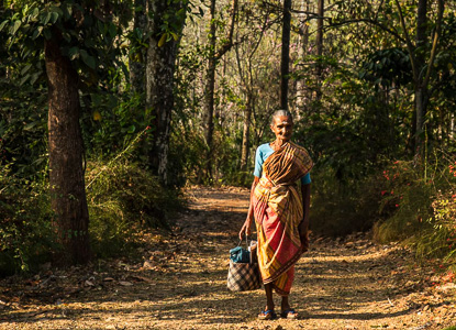 Rajakkad Estate, Western Ghats, South India 2