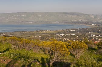 Sea of Galilee Israel DT 19006267
