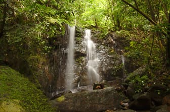 Sinharaja Forest Reserve Sri Lanka DT 74931040