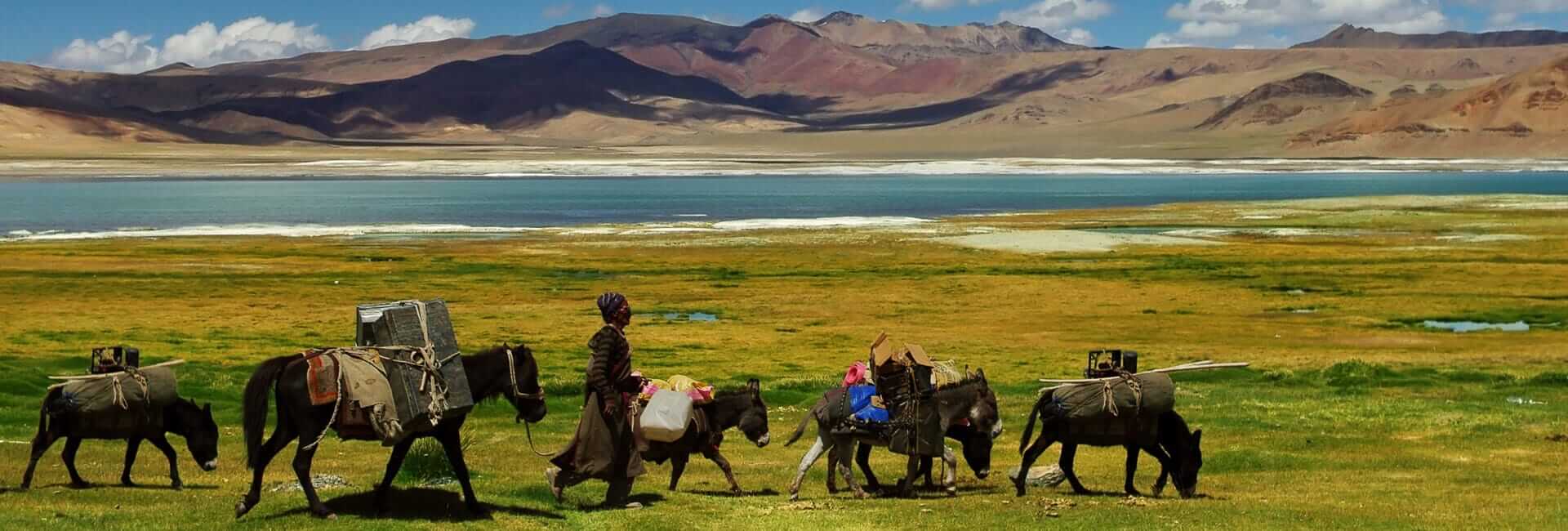 Walking in Ladakh - Ladakh tailor-made tour DT 45681948