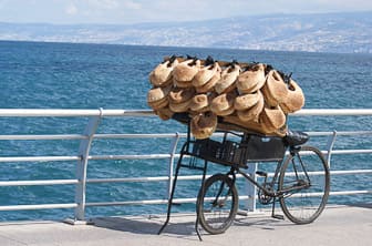 a. general Lebanon DT 86146263