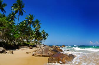 a. general (beach. palm trees) Sri Lanka DT 20936138