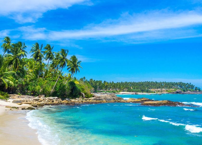 a. general (beach. palm trees) Sri Lanka DT 41410480