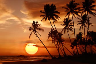 a. general (beach. sunset) Sri Lanka DT 1339597