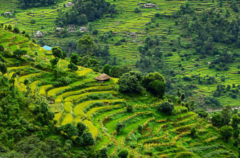 a. general (rice terraces) Nepal DT 34577980
