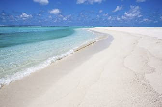 Abu Dhabi ( Saadiyat Island. beach) UAE DT 44676968