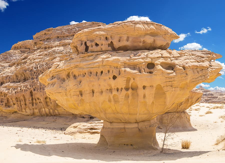 Al Ula (Al Hijr Madain Saleh. Hegra. landscape) Saudi Arabia DT 100396956