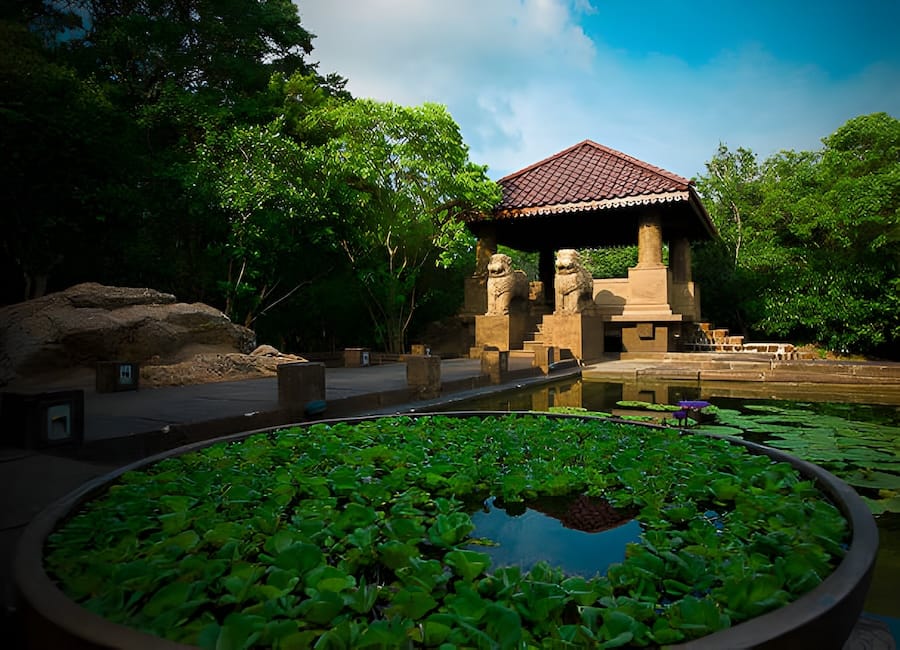 Forest Rock Garden Anuradhapura Cultural Triangle Sri Lanka 3