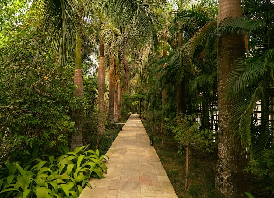 Kasara Resort Chitwan National Park Nepal