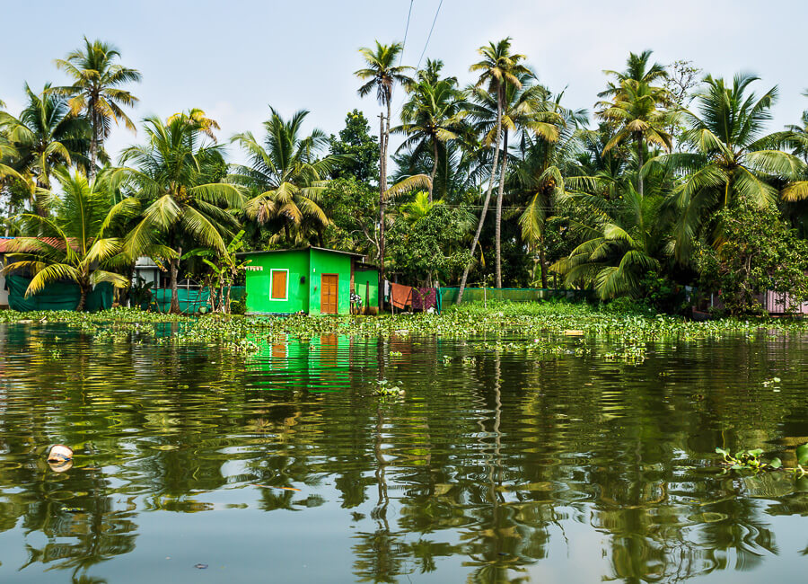 Kerala (Alappuzha. Alleppey. backwaters) India DT 162000555