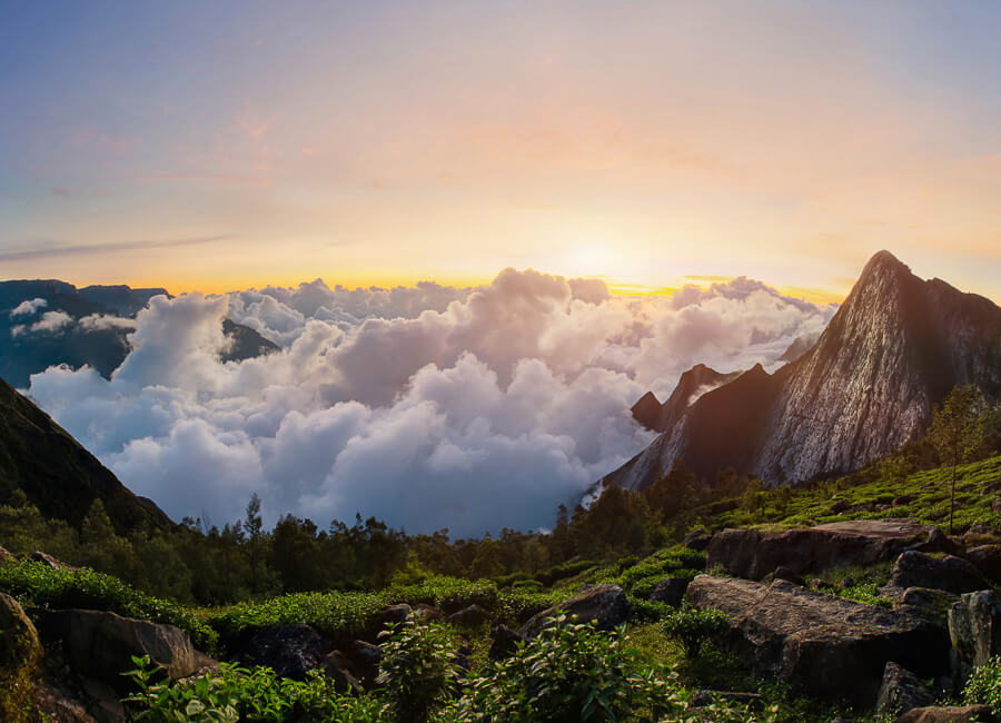 Kerala (Western Gats. Meesapulimala Peak) India DT 64898969