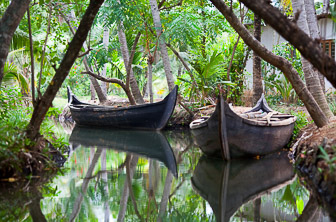 Kerala (backwaters. canoes) India DT 16895128