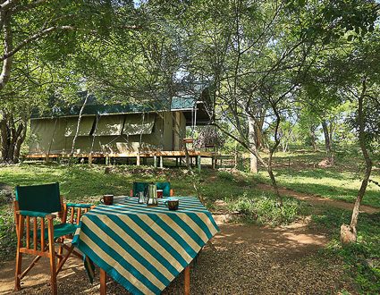 Kulu Safaris Yala National Park Sri Lanka (Luxury Tent) 4