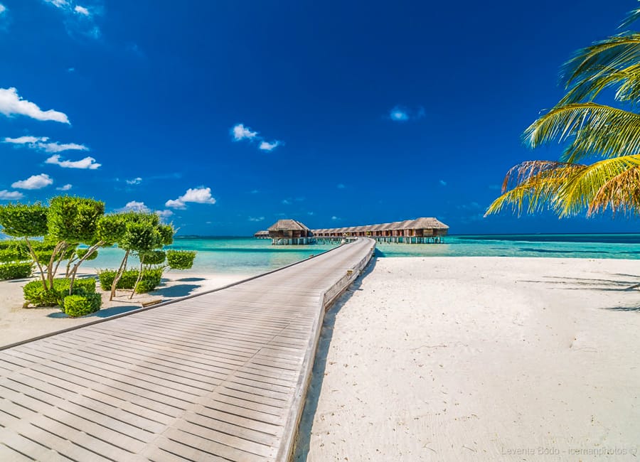Lux* South Ari Atoll Resort & Villas, Maldives-4