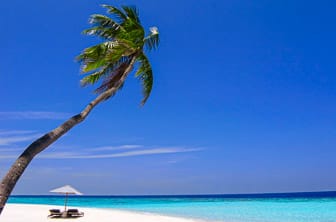 Maldives DT_14770250