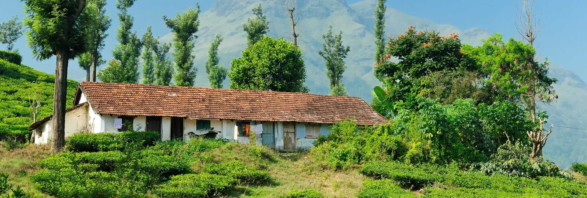 North Kerala Off the Beaten Track - privateSouth India tour DT 13261352