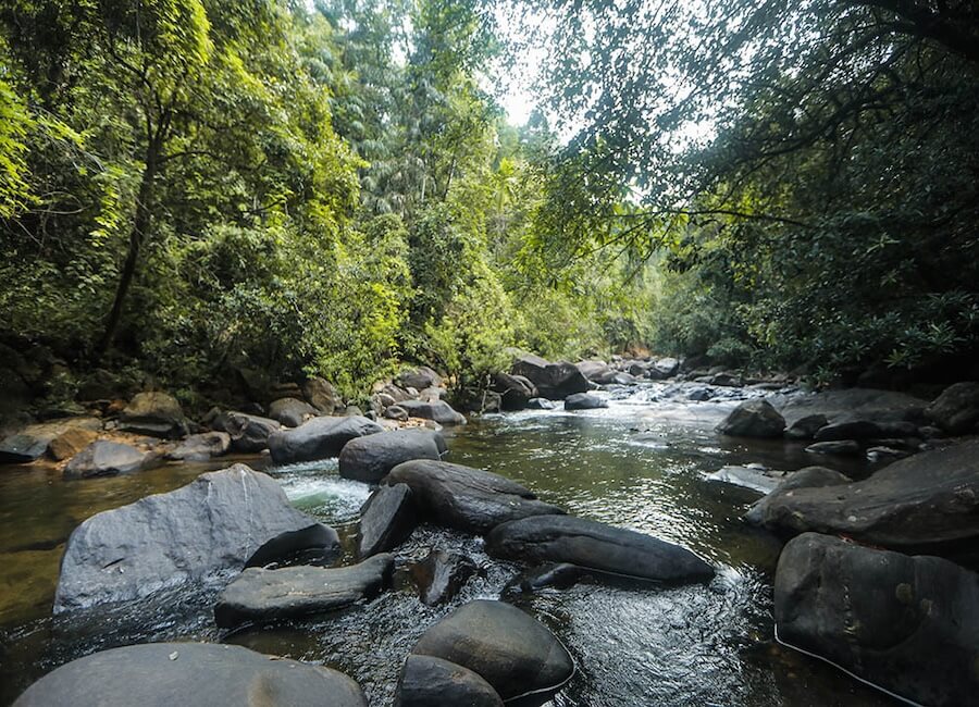 Palmstone Retreat in Kitulgala Sri Lanka