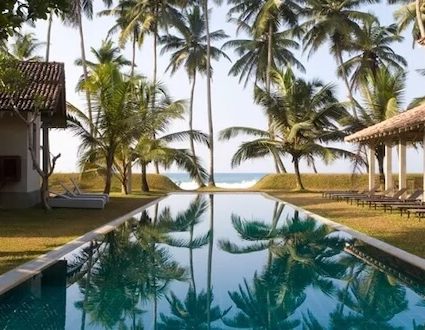 The Frangipani Tree Galle Sri Lanka