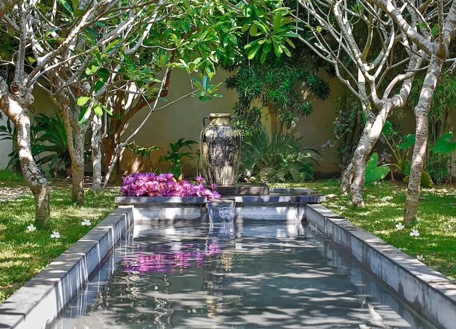The Frangipani Tree Galle Sri Lanka (garden)