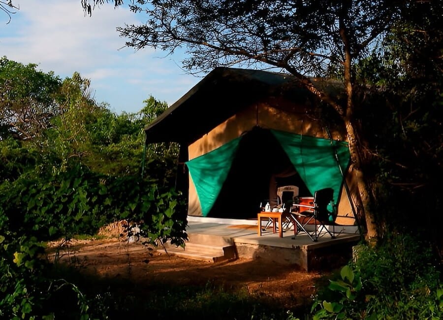 Wilpattu Safari Camp Wilpattu National Park Sri Lanka (Safari tent) 3