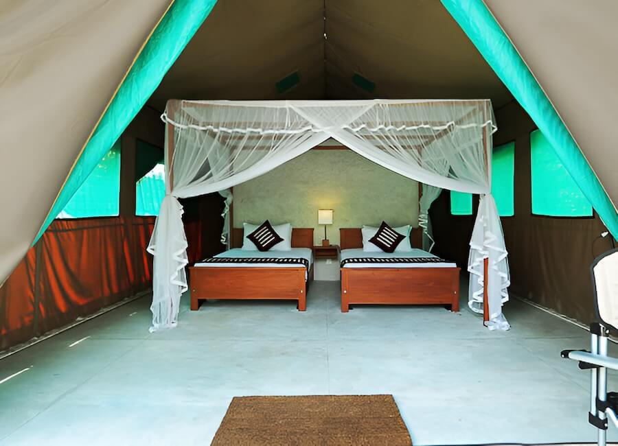 Wilpattu Safari Camp Wilpattu National Park Sri Lanka (Safari tent) 4