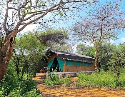 Wilpattu Safari Camp Wilpattu National Park Sri Lanka (Safari tent) 5
