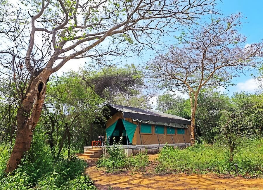 Wilpattu Safari Camp Wilpattu National Park Sri Lanka (Safari tent)