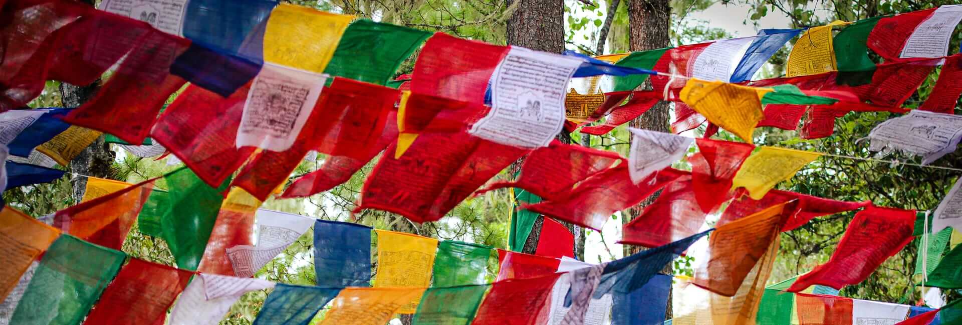 RKPO Green Resort Punakha Bhutan (DT 72718406)