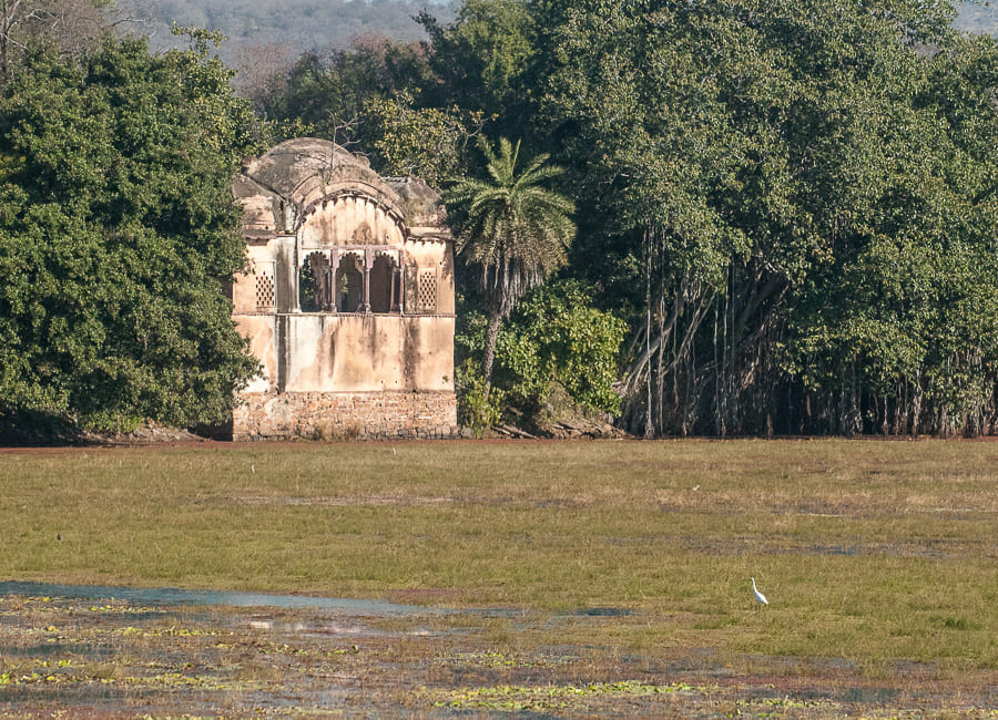 Ranthambore National Park India DT 137220755