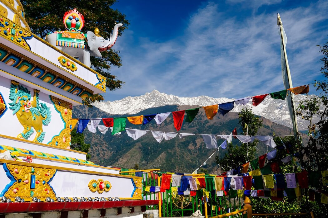 Unmissable Sights and Experiences North India - Tibetan Dharamsala DT 12018355