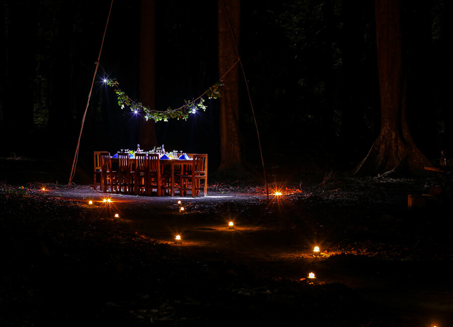 Barefoot at Havelock Andaman Islands India (Special Dinner Setup)