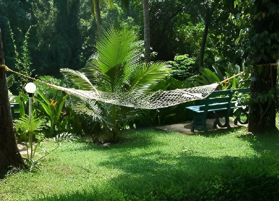 Dewalokam Cardamom Hills Kerala India (garden)