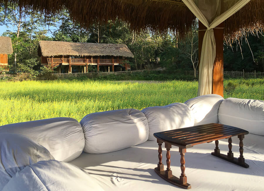 Diphlu River Lodge Kaziranga India Diphlu River Lodge (Relaxation at Diphlu River Lodge) 2