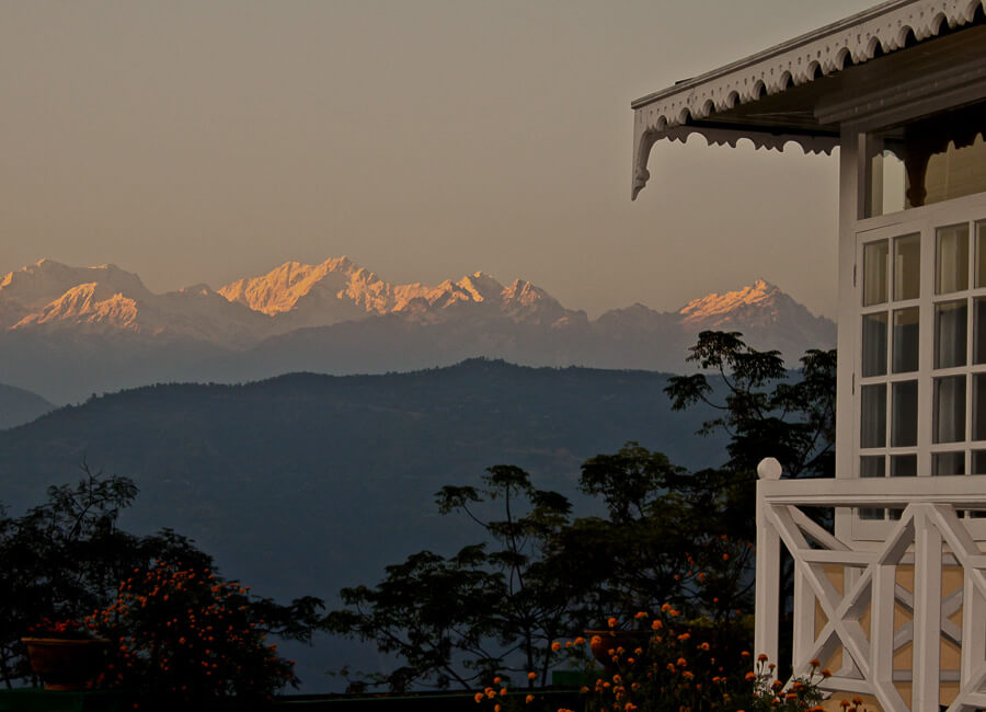 Glenburn Tea Estate near Darjeeling India (Mountain view)