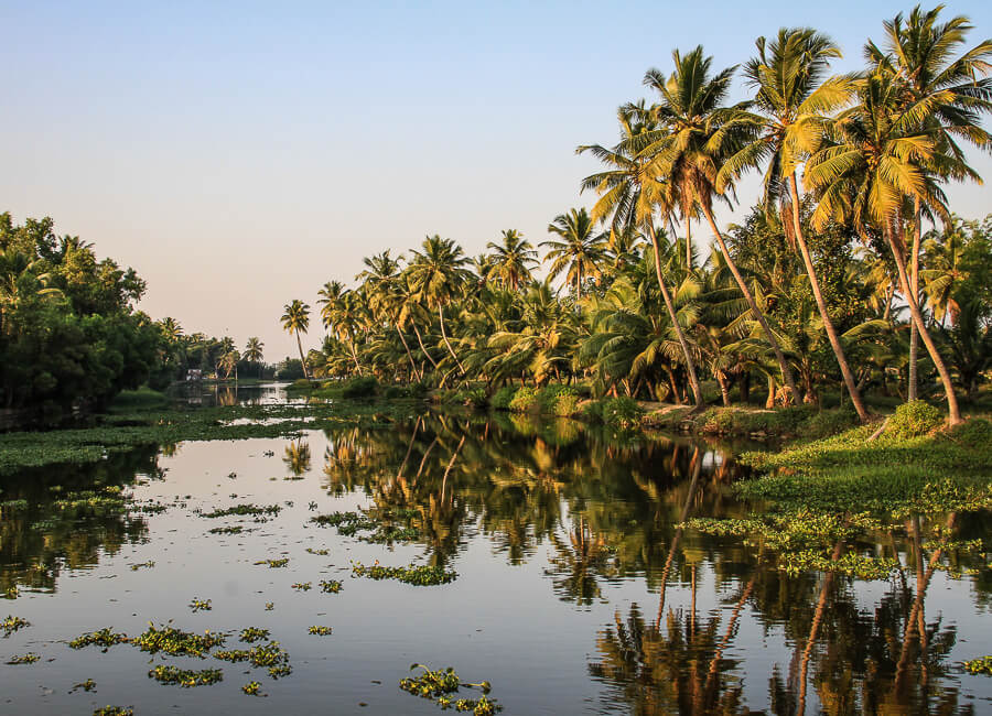 Kerala (backwaters) India DT 112269765