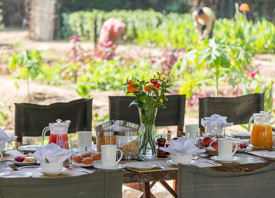Kings Lodge Bandhavgarh National Park India (Kings Lodge Alfresco Meals Options) 1