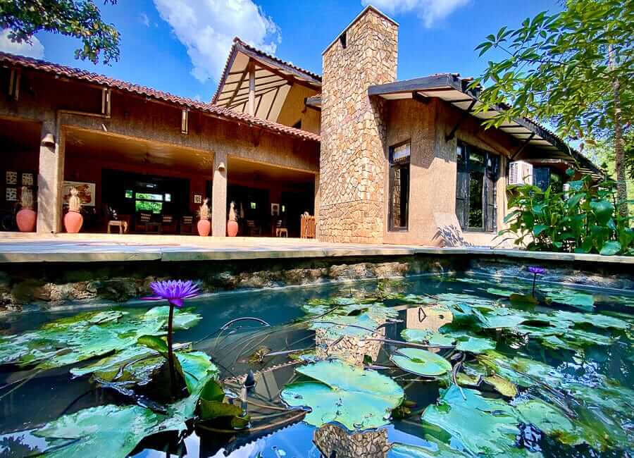 Kings Lodge Bandhavgarh National Park India (Lily pond)