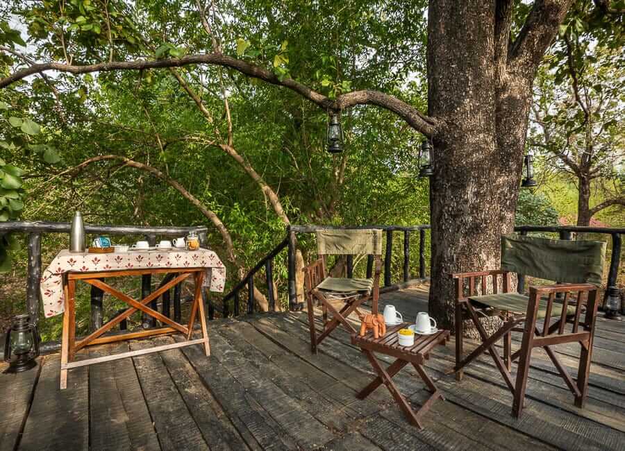 Kings Lodge Bandhavgarh National Park India (Machaan exp)