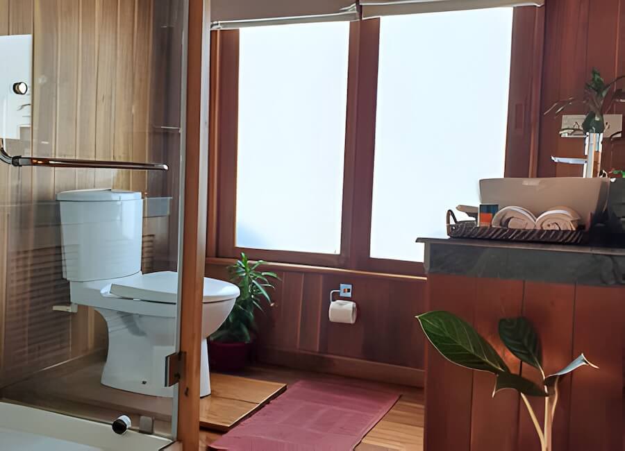 M V Rudra Singha Assam India (cabin bathroom)