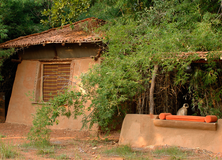 Mahua Kothi, A Taj Safari - Bandhavgarh National Park India (Accommodation)
